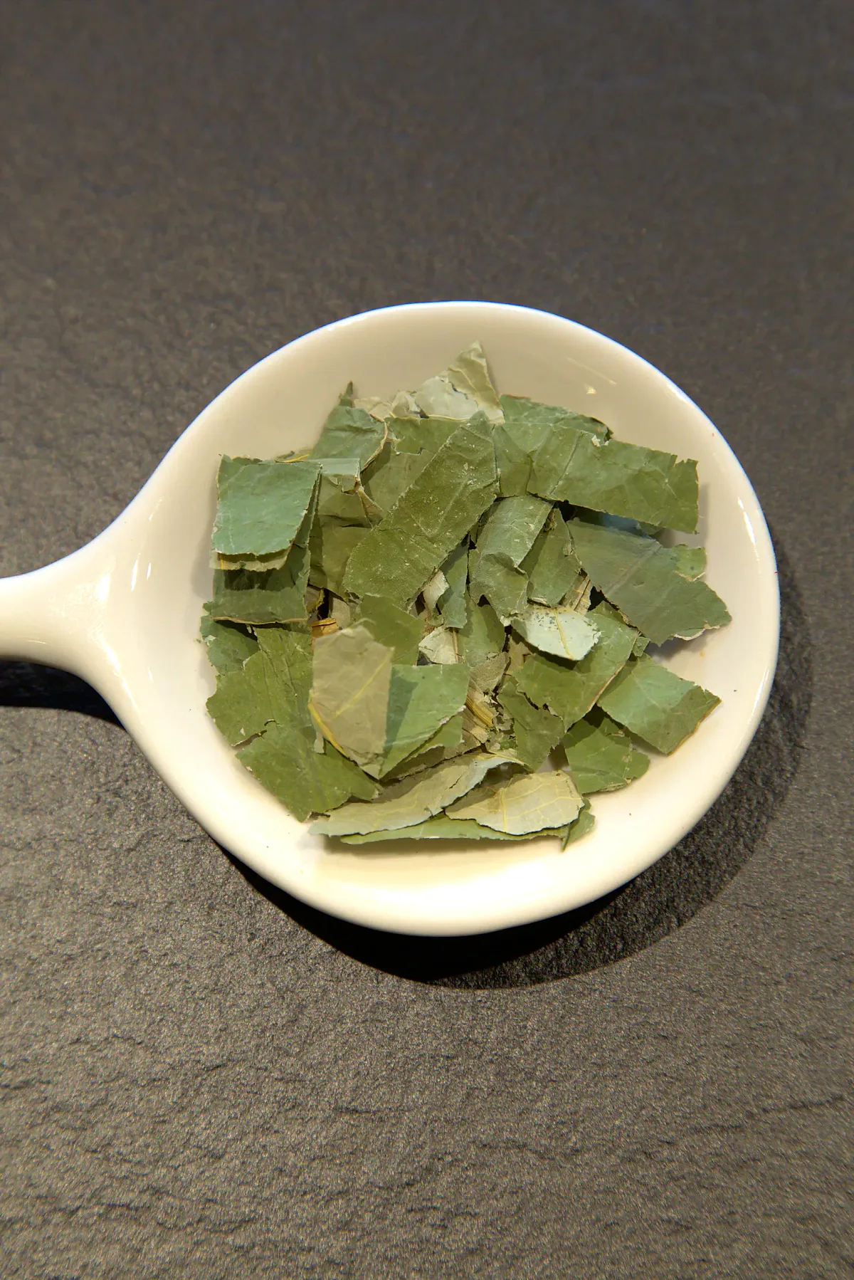 Feuille de Lotus