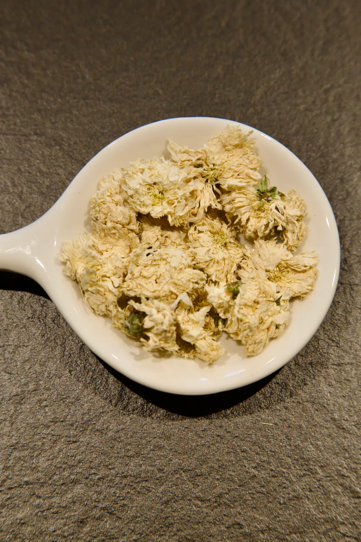 Chrysanthemum